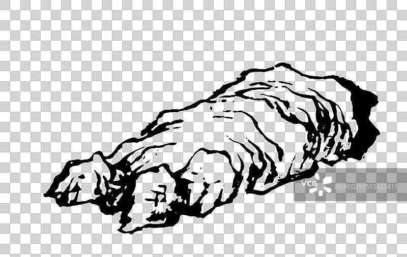 国画，石头，奇石，线描，黑白，中国风，古典风格，插画，设计，元素图片素材