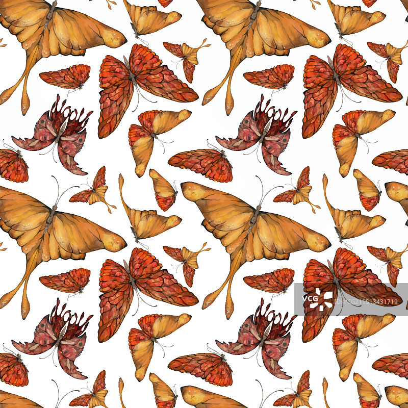 手绘水彩蝴蝶精灵翅膀宝石图片素材