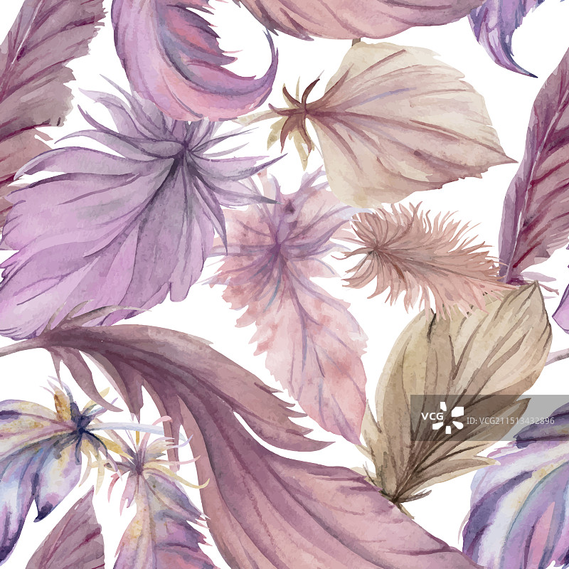 手绘水彩鸟羽毛笔图片素材