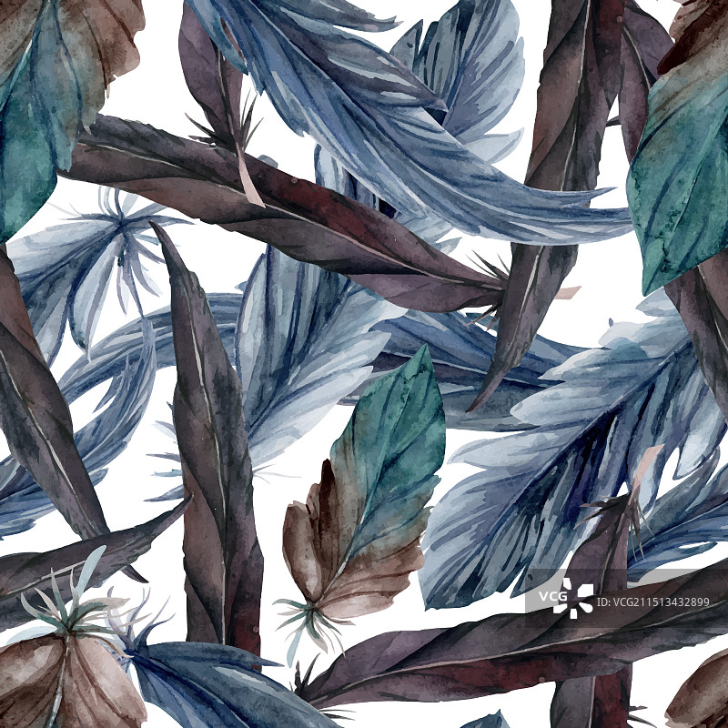 手绘水彩鸟羽毛笔图片素材