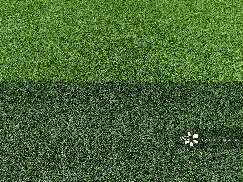 足球场绿色草坪图片素材