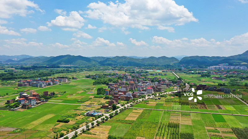 广西苍梧：标准农田美如画图片素材