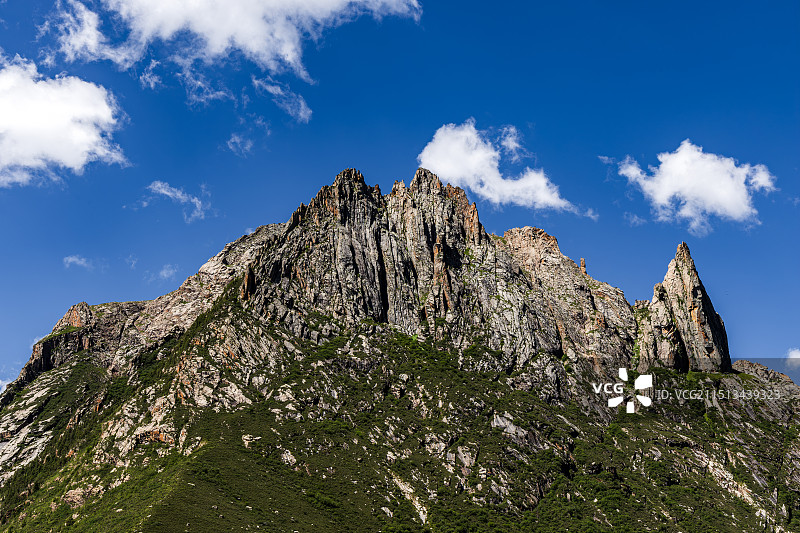 莲宝叶则-现实版魔兽世界图片素材