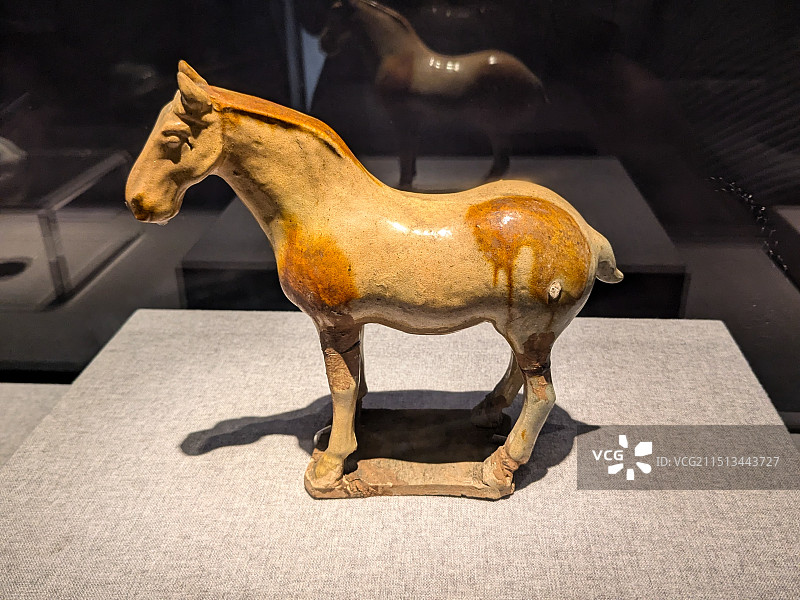 奉贤博物馆三彩马图片素材