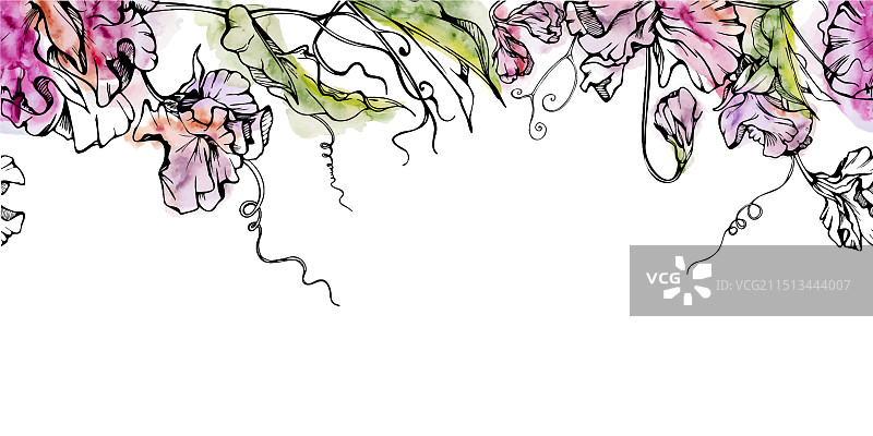 手绘水彩墨水植物花卉图片素材