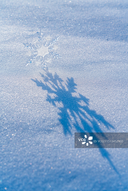 雪地上的雪花和影子图片素材