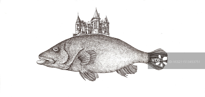 背着房子的鱼图片素材