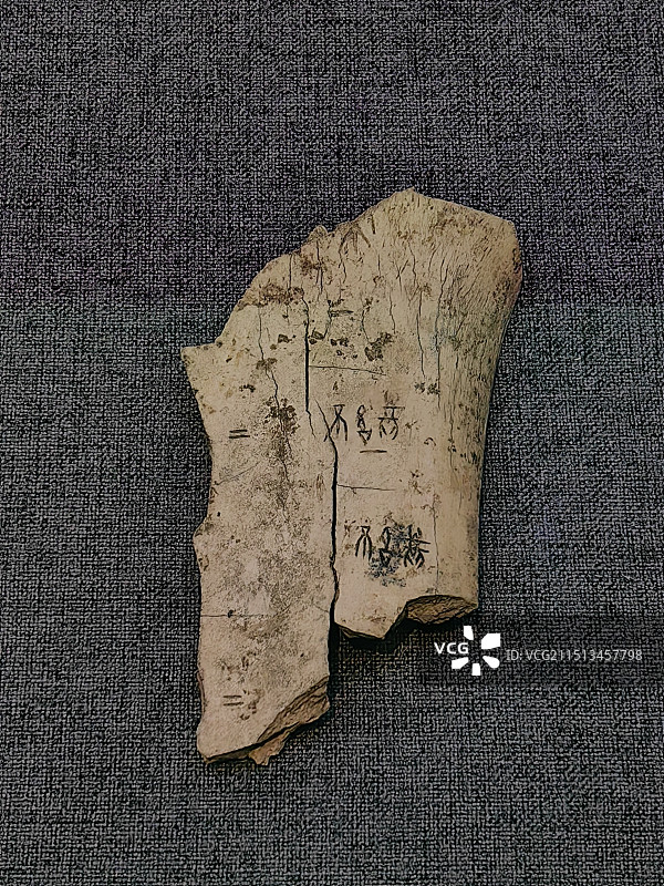 中国考古博物馆 甲骨文图片素材