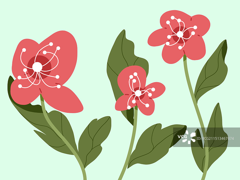 花朵插画图片素材