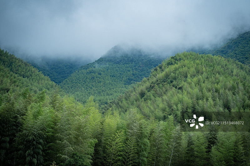 云雾天气莽莽青山与竹林图片素材