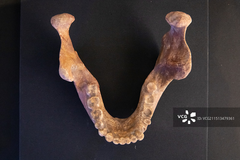 北京周口店遗址博物馆1907年发现的海德堡人下颌骨迄今为止欧洲发现的最早的直立人距今50万至40万年图片素材