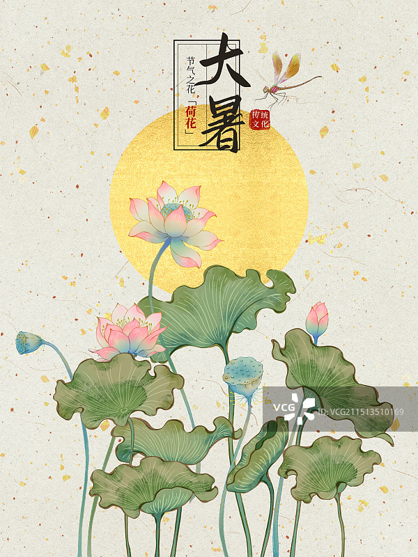 国风手绘二十四节气花卉植物之大暑小暑夏至荷花插画海报模板图片素材