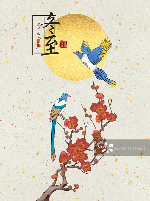 国风手绘二十四节气花卉植物之冬至梅花腊梅喜鹊插画海报模模板图片素材