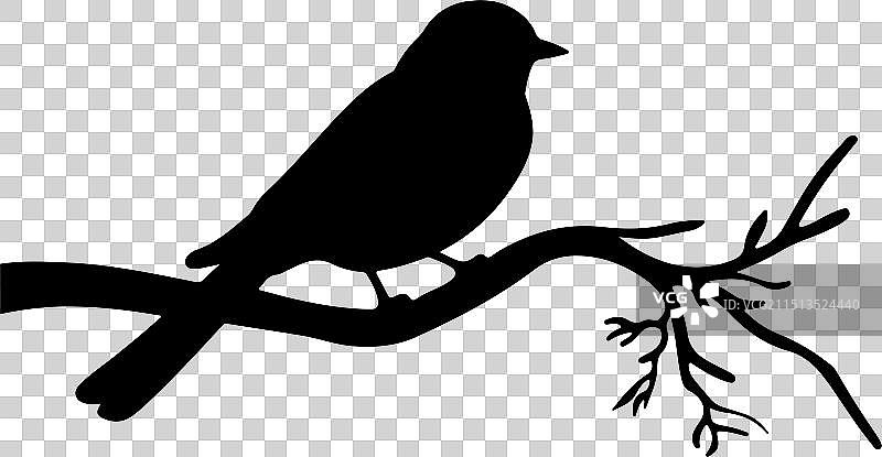 夜鹰鸟剪影白色背景图片素材