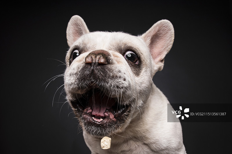 吃货眼里都有什么图片素材