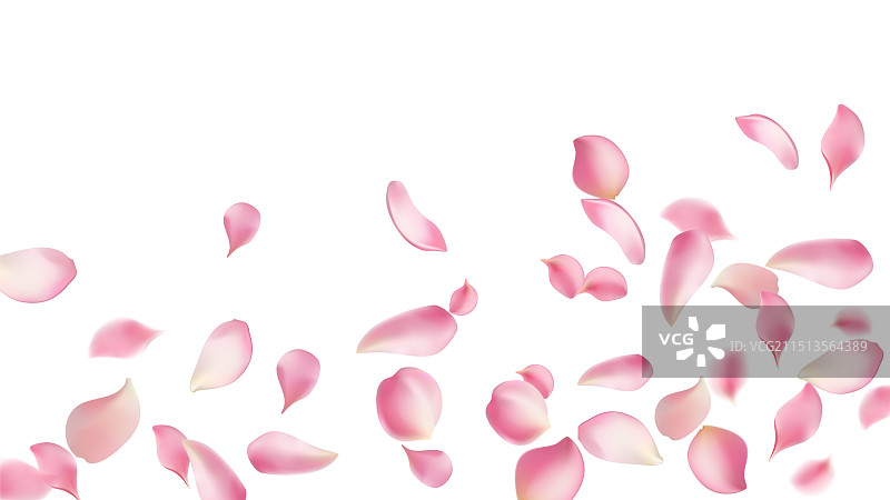 玫瑰花瓣或樱花飞舞的浪漫花瓣图片素材