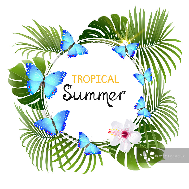 带有蓝色蝴蝶的圆形白色banner图片素材