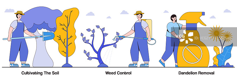 土壤除草蒲公英控制图片素材