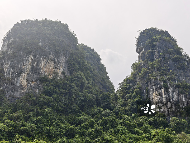 崇左白头叶猴生态旅游区图片素材