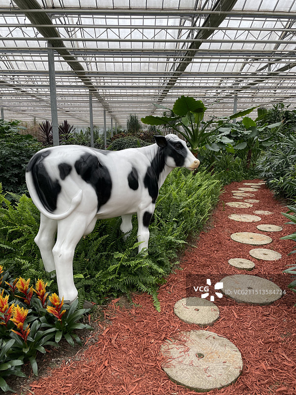 上海鲜花港图片素材