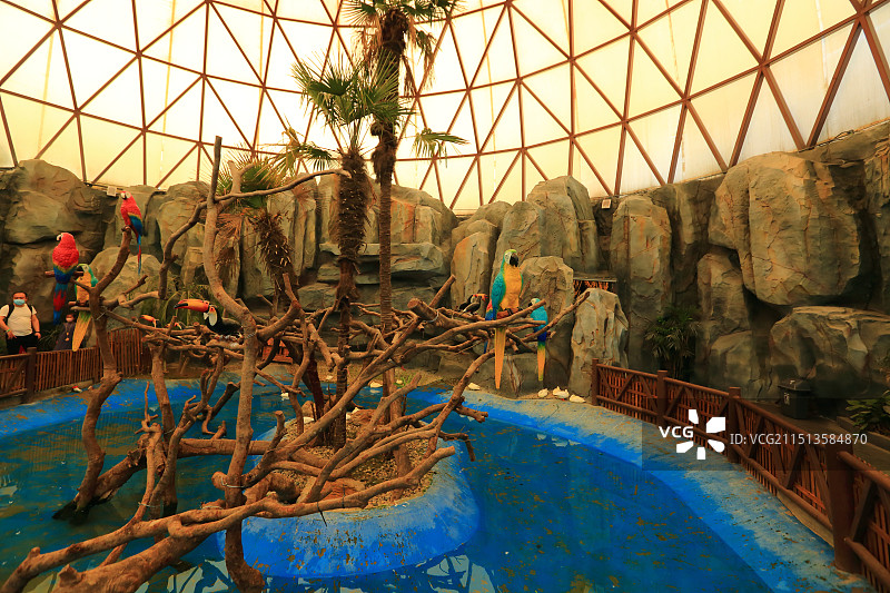 南通森林野生动物园图片素材