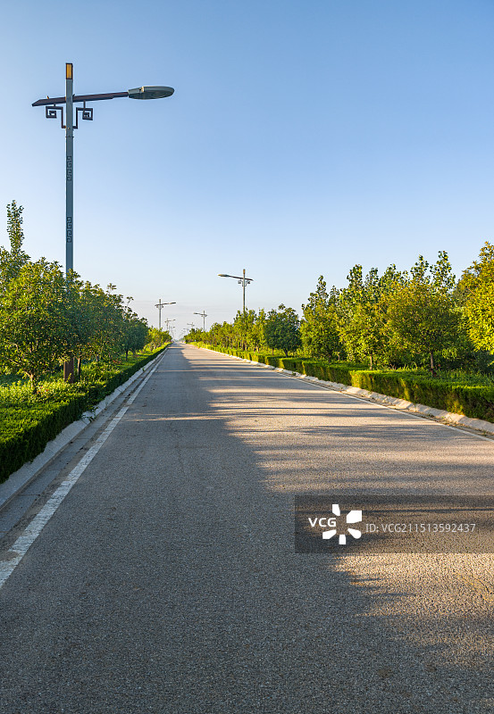夏日清晨蓝天下的道路公路与绿植绿化景观图片素材