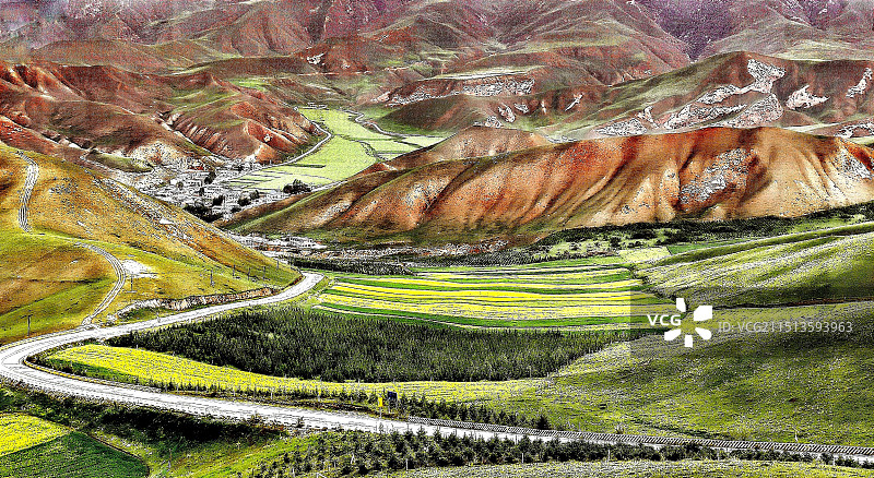 此处应景绿肥红廋图片素材