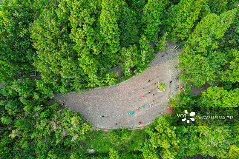 老河口中山公园航拍全景图片素材