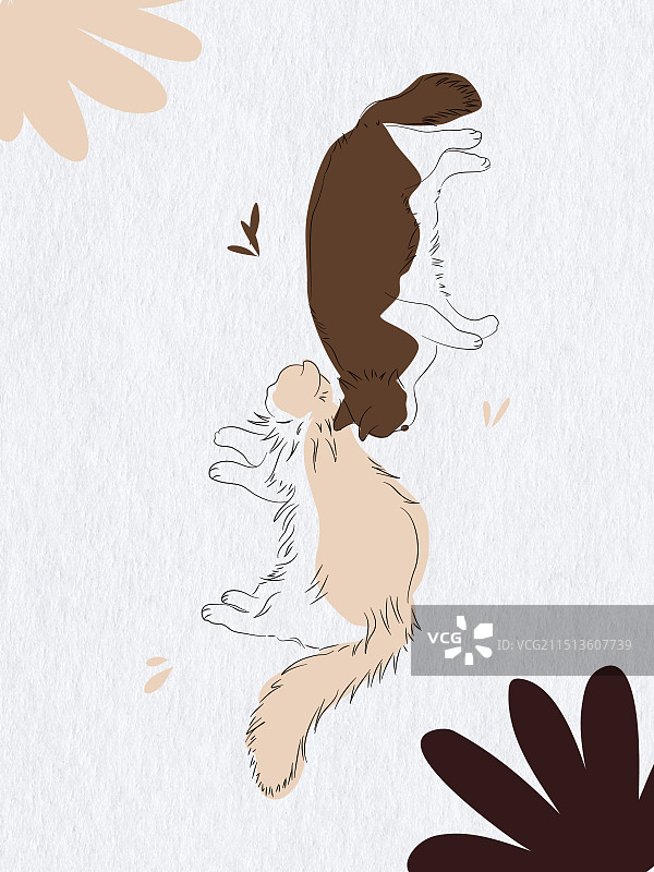 两只小猫图片素材