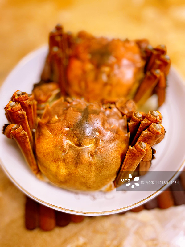 大闸蟹图片素材