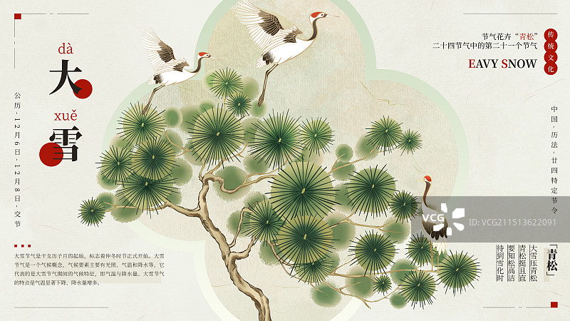 国风手绘二十四节气花卉植物之大雪小雪大寒小寒松树青松迎客松插画海报模板图片素材