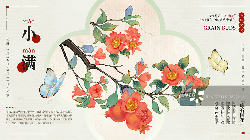 国风手绘二十四节气花卉植物之小满石榴花插画海报模板图片素材