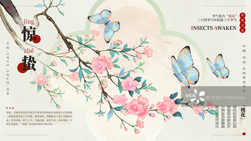 国风手绘二十四节气花卉植物之春分惊蛰桃花插画海报模板图片素材