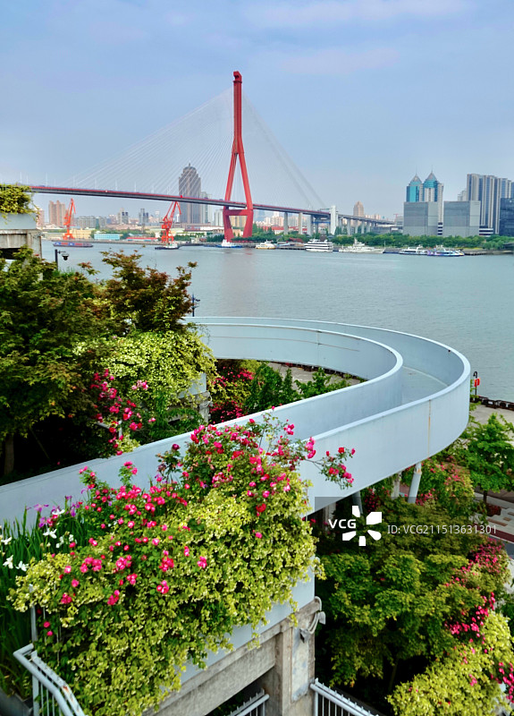 上海黄浦江杨浦滨江绿之丘杨浦大桥图片素材