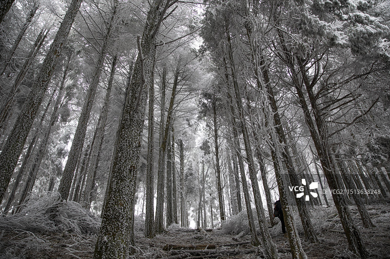 敕木山雾凇图片素材