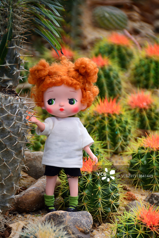 仙人球和女孩图片素材