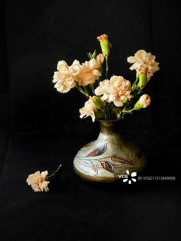 黑色背景下花瓶里的花朵特写镜头图片素材