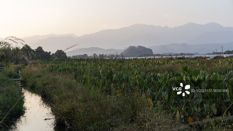 秋天日风光落时分湖南永州江永县乡村田园图片素材