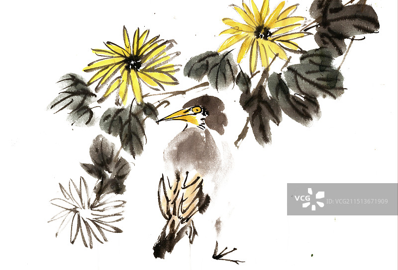 菊花下的小鸟图片素材