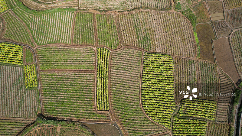田园风光航拍图片素材