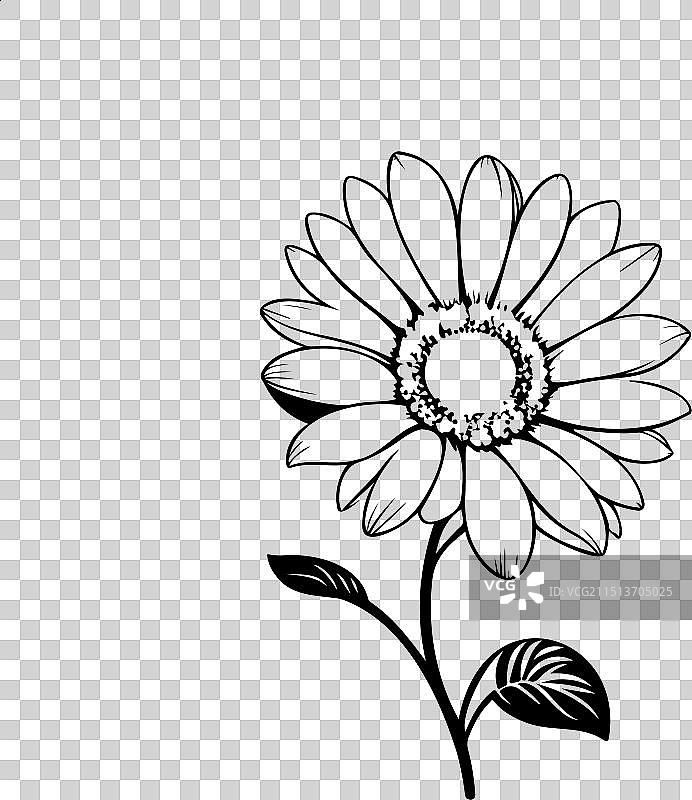 手绘黑色雏菊花朵图标图片素材