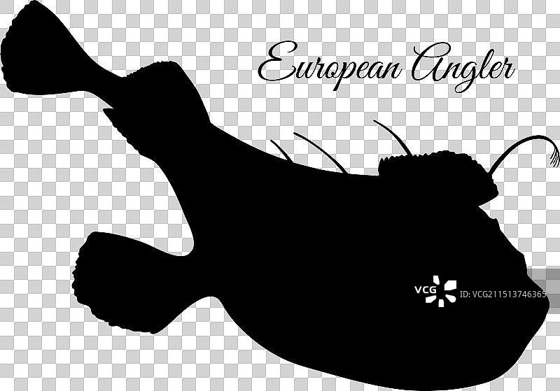 普通安康鱼轮廓图片素材