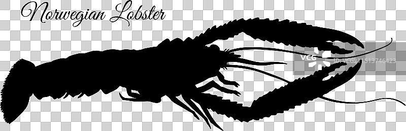 挪威龙虾轮廓图片素材