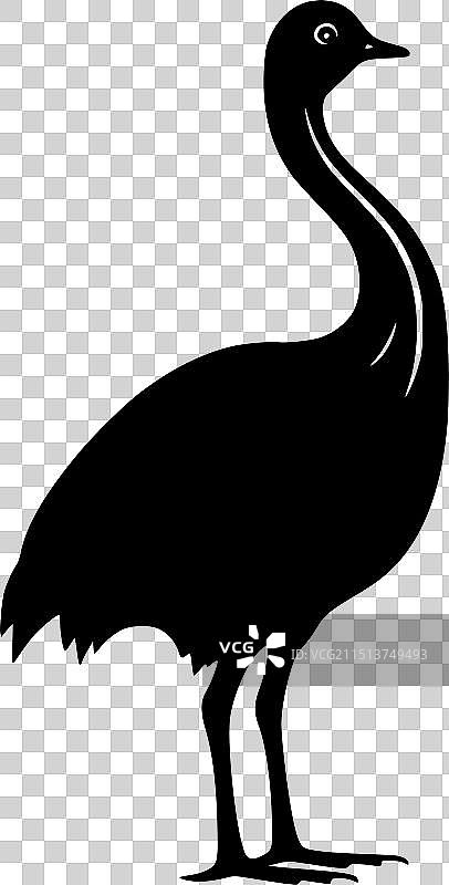 渡渡鸟 - 黑白图片素材