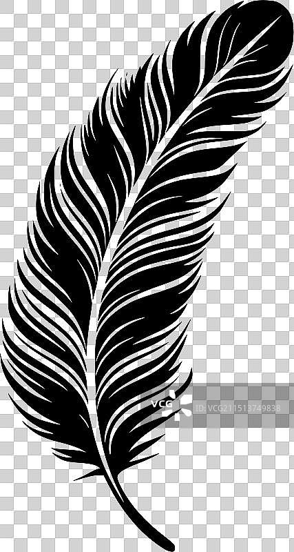 羽毛 - 黑白图片素材