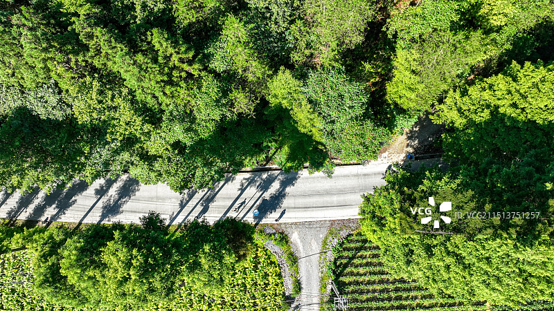 湖北恩施板桥康养森林小镇图片素材