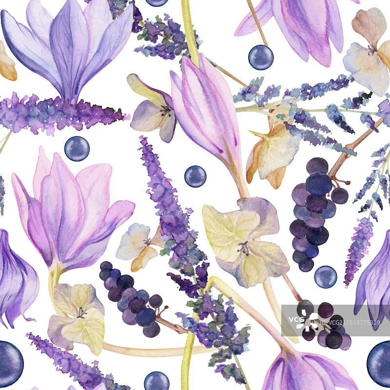 手绘水彩破旧风波西米亚植物图片素材