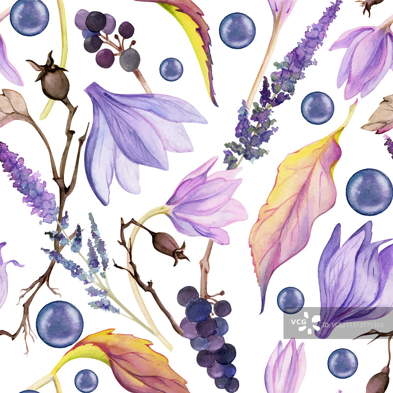 手绘水彩破旧风波西米亚植物图片素材