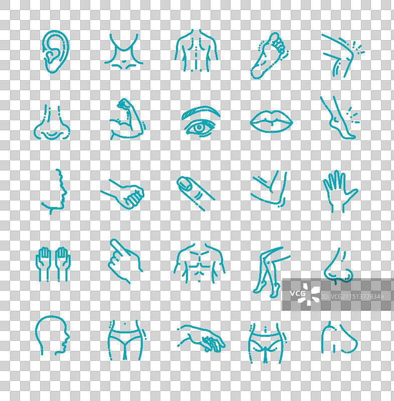 人体部位图标整形外科图片素材