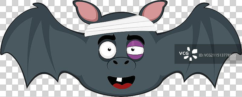 蝙蝠事故图片素材